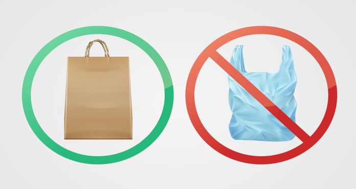 Paper bag against plastic